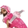 Skye Hundekostüm Aus Paw Patrol